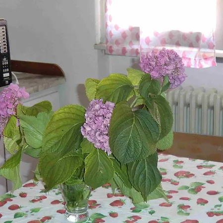 Oasi Dei Girasoli Διαμέρισμα Abbadia Lariana